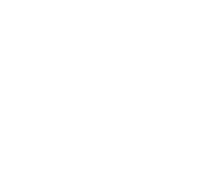 Vizards Studio